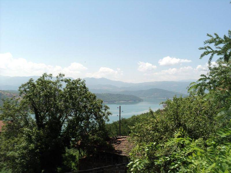 Дебарската подружница на Македонски шуми ќе пошуми 20 хектари 