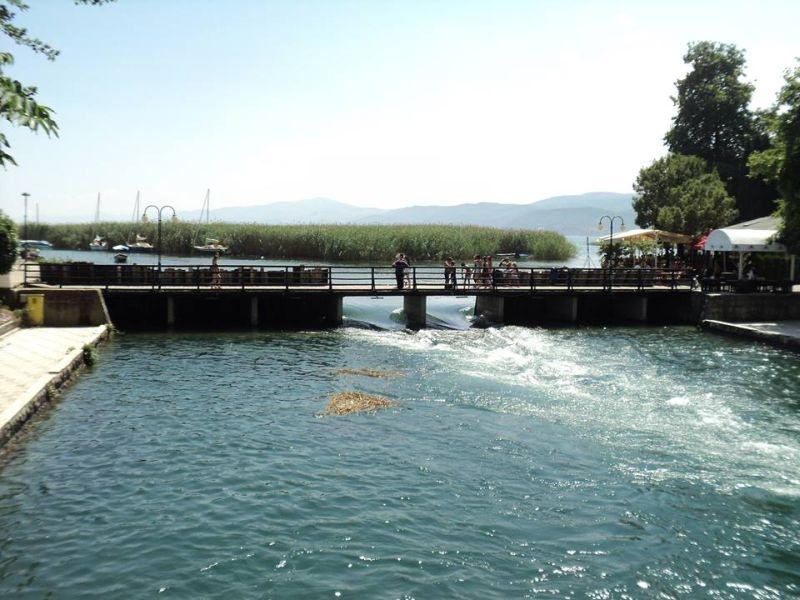 Значително намалени водостоите на Дрим и Црна Река