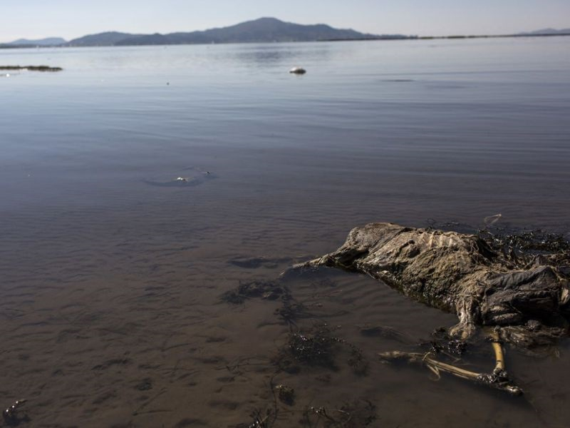 Светото езеро на Инките затрупано со ѓубре и со отрови