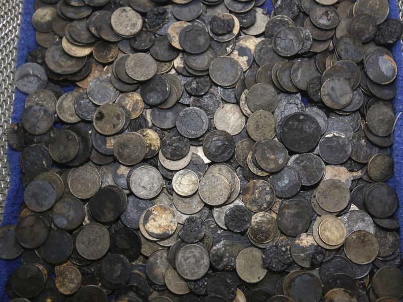 Хирурзи извадиле 915 парички од морска желка во Тајланд