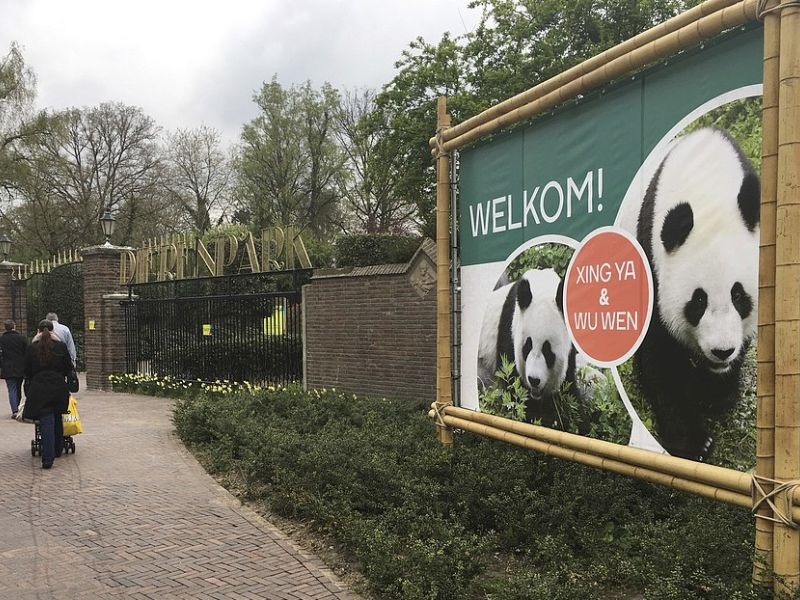 Од Кина во Холандија пренесени пар панди