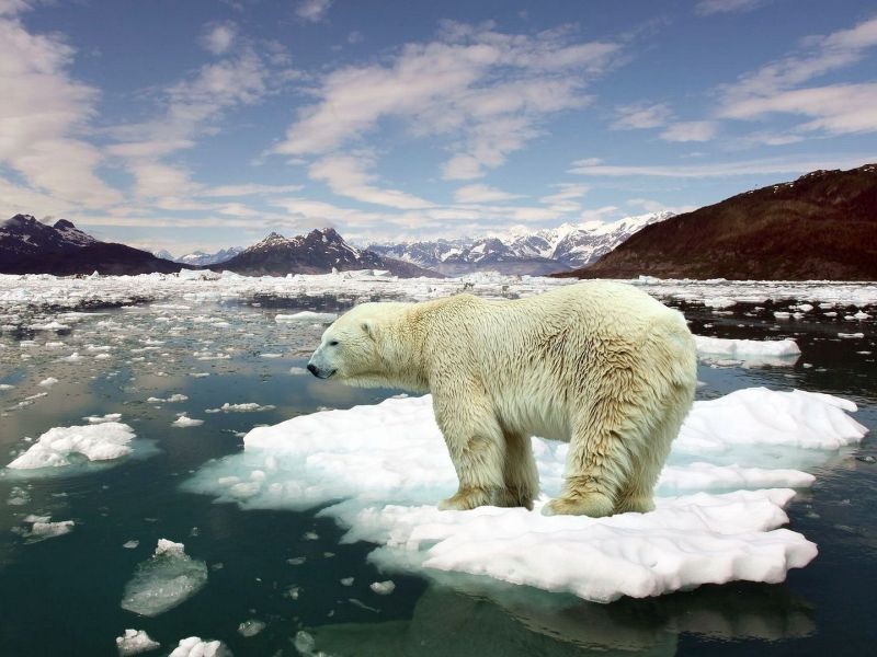 Научници открија директна врска меѓу климатските промени и екстремни феномени