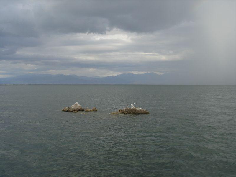 Ќе се бара нафта во водите на Црна Гора, екологистите реагираат