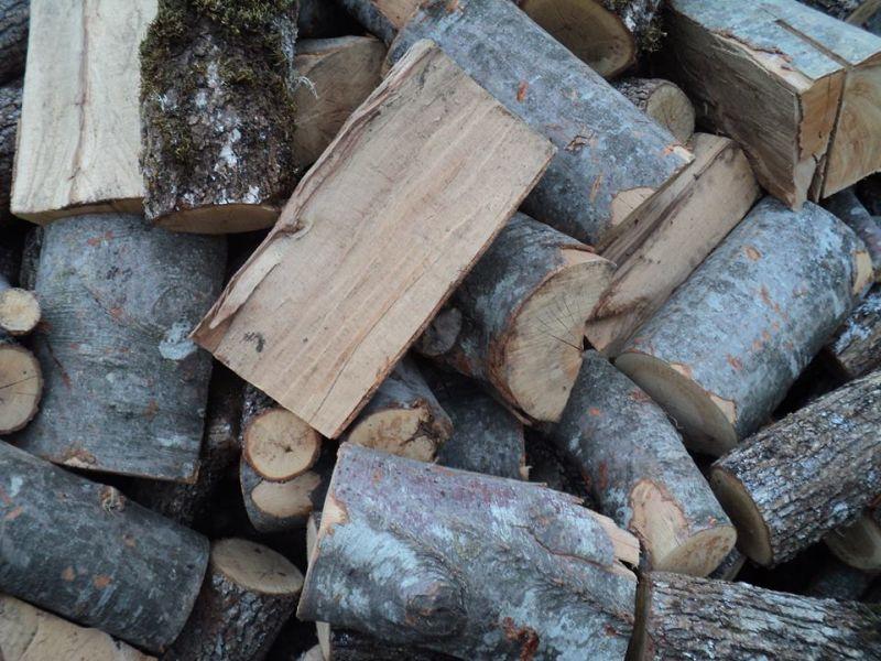 Стружани снабдени со огревно дрво, „Македонски шуми“ има залихи 