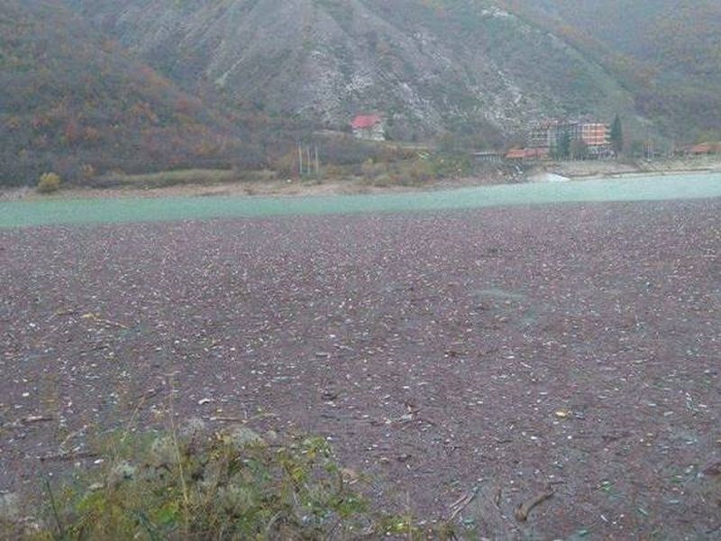 Акција на ЕЛЕМ за чистење на отпадот од Дебарско Езеро