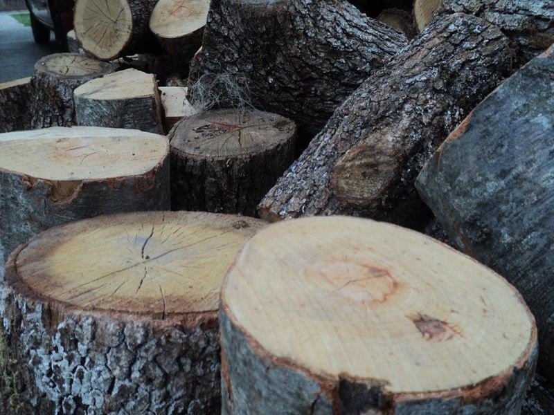 Објавен повик за купување дрва преку Македонски шуми за 2017 година