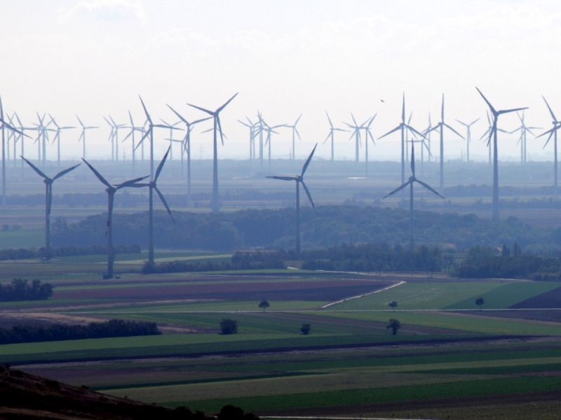Ветерните турбини може да имаат корисни ефекти за земјоделски култури