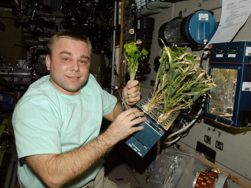 Русите во Вселената ќе одгледуваат пиперки, пченица и зелена салата