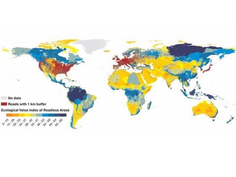 Мапа: патиштата ја делат планетата на 600.000 парчиња