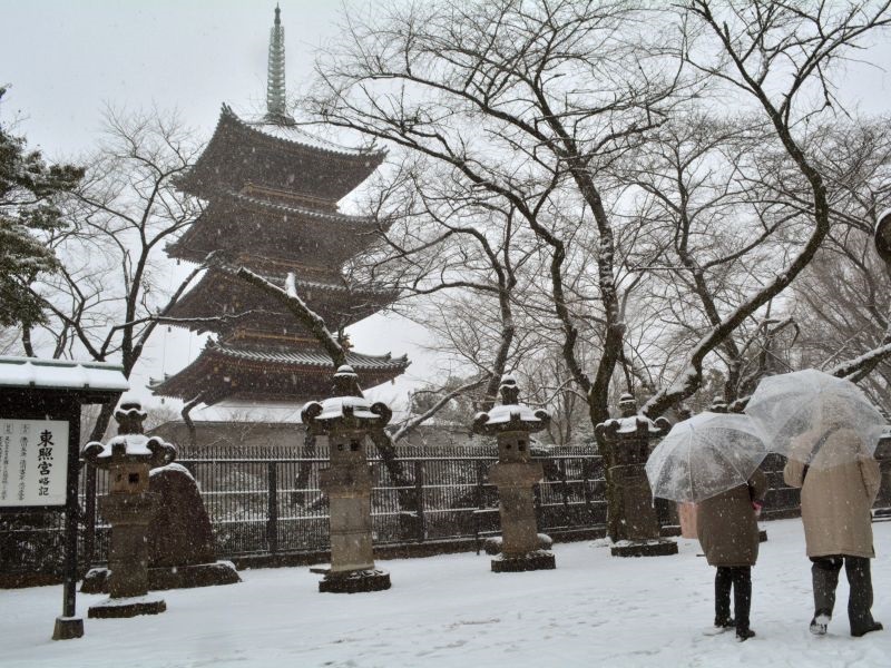 Јапонија под снег, повеќе возила завеани 