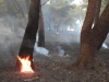 Пожар уништува природно богатство во Албанија
