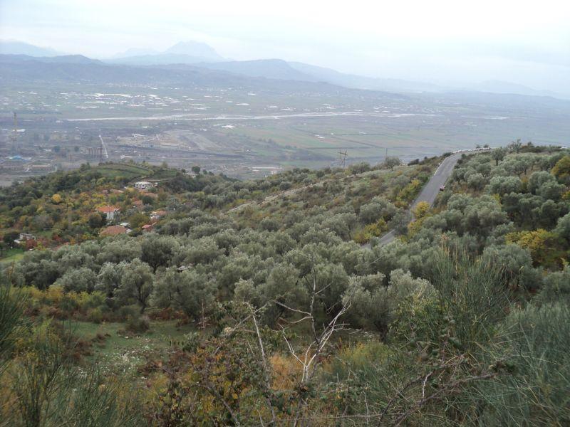 Построги контроли за органското производство во Албанија