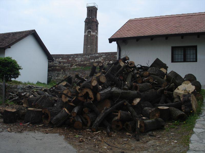 Србија бара консултанти за користење биомаса