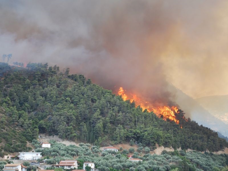 Во Грција годинава изгореа над 300 илјади декари шума 