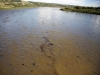 Канада во неволја поради излеана нафта во река